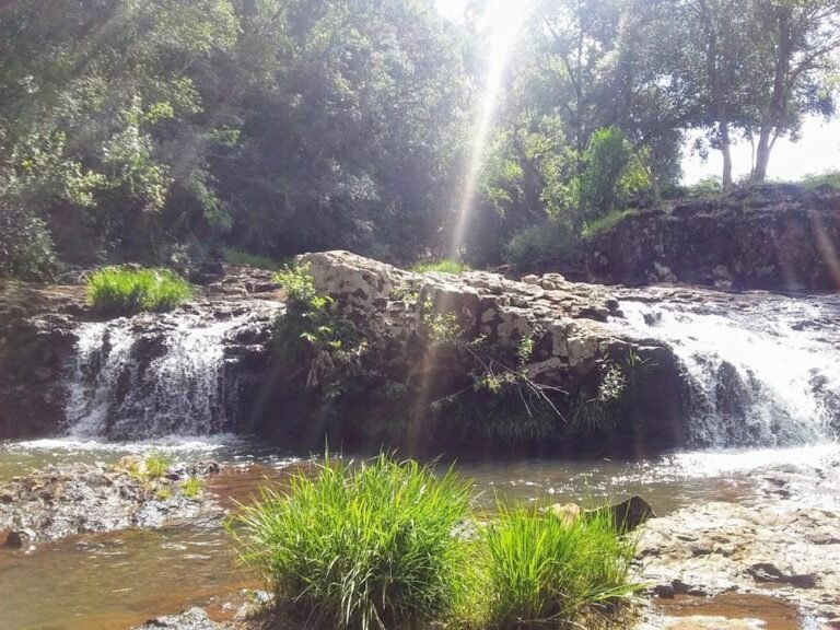 Camping Familia Ibarra