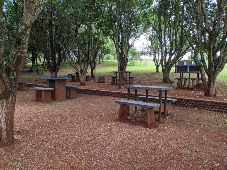 Camping Las Palmeras