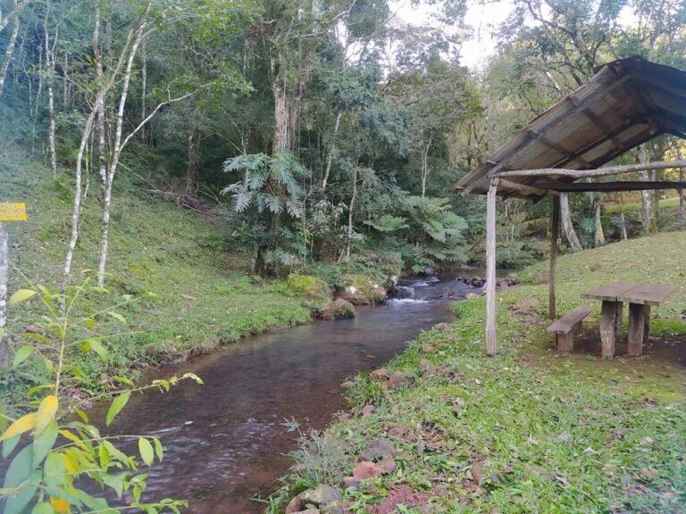 Camping y Saltos Los Cedros