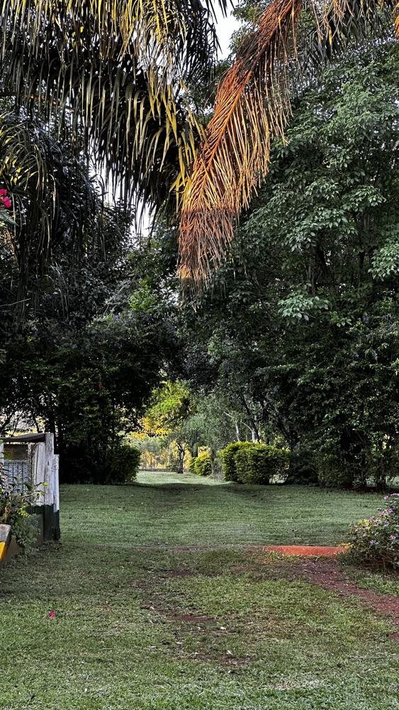 Campo Viva la Pepa