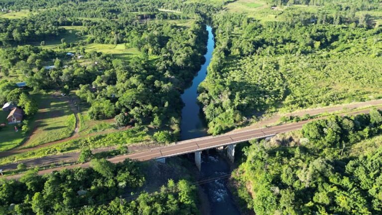 Cutí Puente Acaraguá