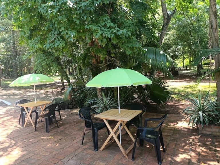 Pileta Las Palmeras