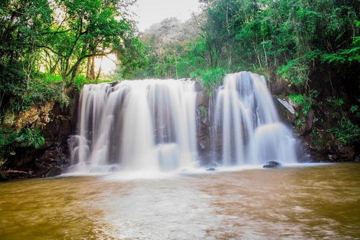 Salto Carlitos