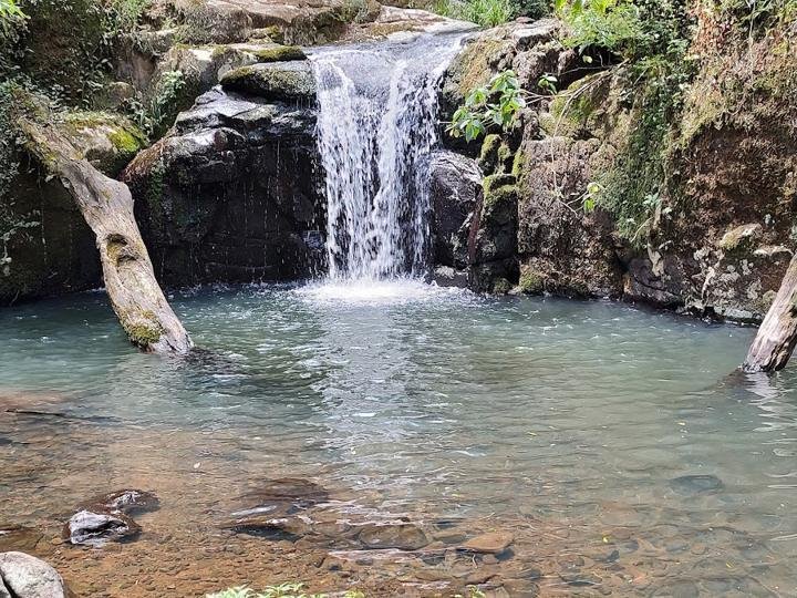 Salto del Picaflor