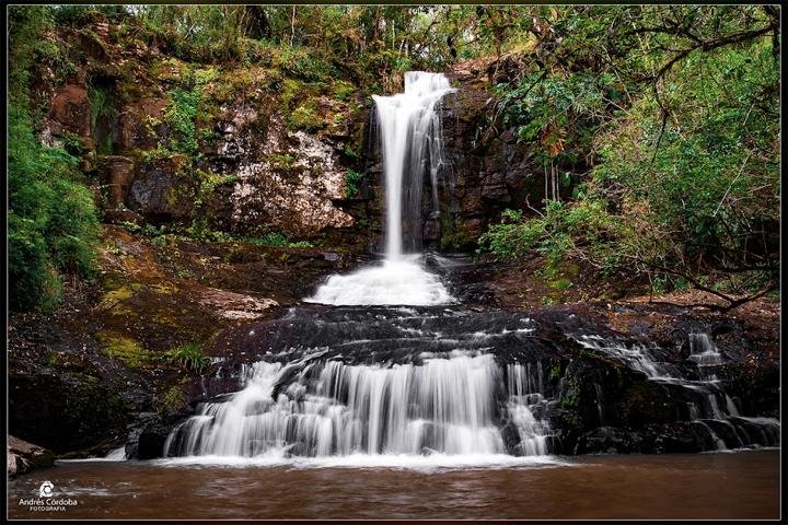 Salto Oasis