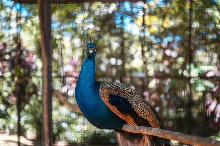 Jardín de los Pájaros
