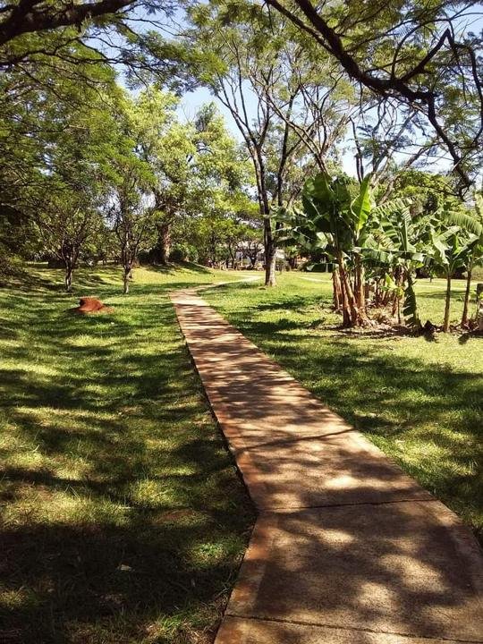 Parque Lineal El Cainguas
