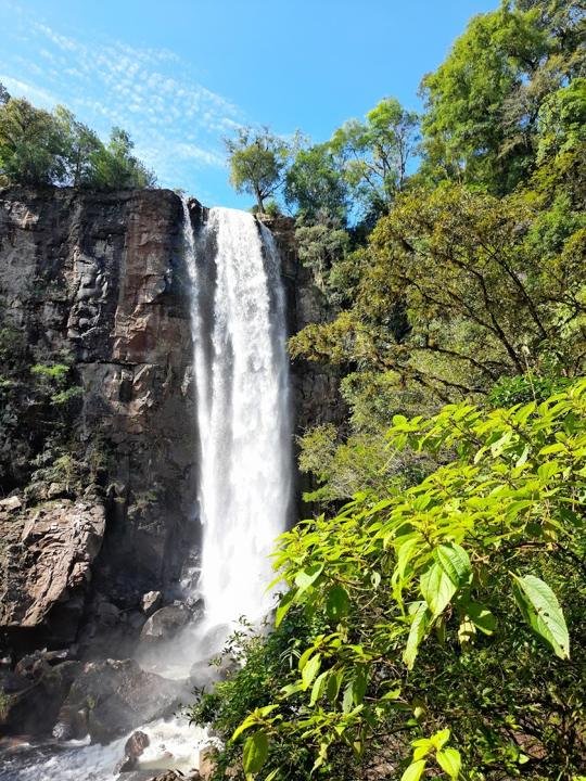 Salto Paca