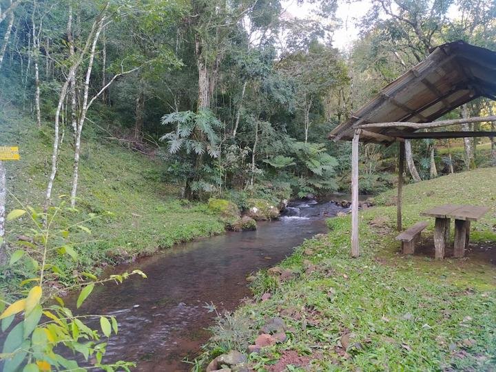 Saltos los Cedros