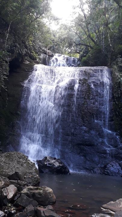 Salto Laschuk
